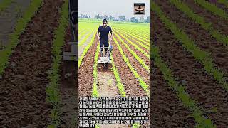 농업용 미니 경운기로 효율적인 토양 관리하는 방법 #worker #process #machinery #tractor #field
