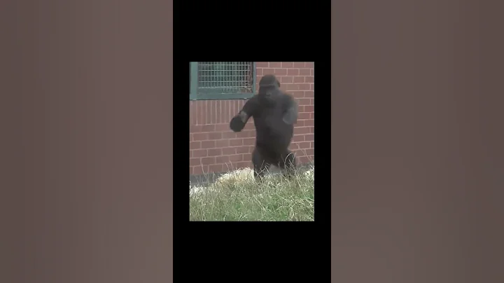 像不像你那整天无忧无虑的 - 天天要闻