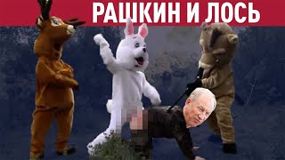 Рашкин, лось и другие животные. Кого еще ловили на незаконной охоте