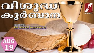 HOLY MASS LIVE @ 6 AM, 19-AUG-2025|FR JAMES KALLUMKAL VC|MALAYALAM QURBANA|TODAY MASS|GOODNESS TV