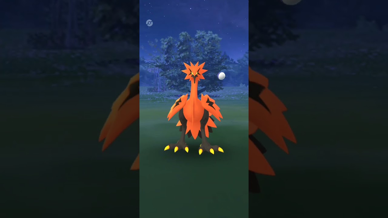 🥲High cp wild zapdos betrayed me....