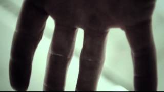 The Chrysalids Book Trailer