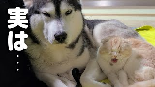 ずっと黙っていたことがあります...