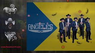 Conjunto Ángeles - Huapango los Juegos / 2019