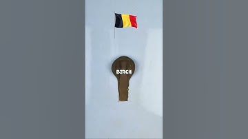 What color do mixed flags make??? New Edition #colormixing #claymixing #guessthecolor #mixingthings