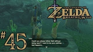Zelda Breath Of The Wild Playthrough Part 45: The Lost Pilgrimage, Daag Chokah Shrine