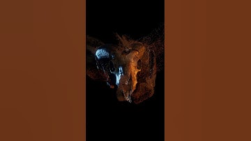 Niagara Sand | Unreal Engine