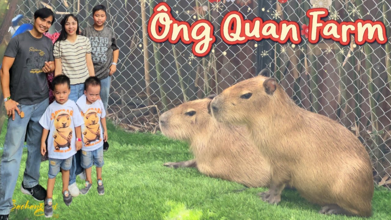 Thiên đường thú cưng tại Ông Quan Farm | Cà phê Cần Thơ siêu đáng yêu