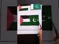 Palestine 🇵🇸 Pakistan🇵🇰 #palestine #pakistan #رسم #painting #short