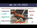 29 October 2025 today winning colours/Today winning colours /vision of kukkuta sastram in colors