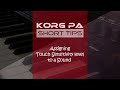 How to set touch sensitivity level in Korg | Korg PA Short tips | Korg velocity sensitivity