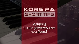 How to set touch sensitivity level in Korg | Korg PA Short tips | Korg velocity sensitivity Resimi