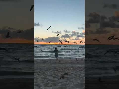 ذكرياتي والجميله ورده