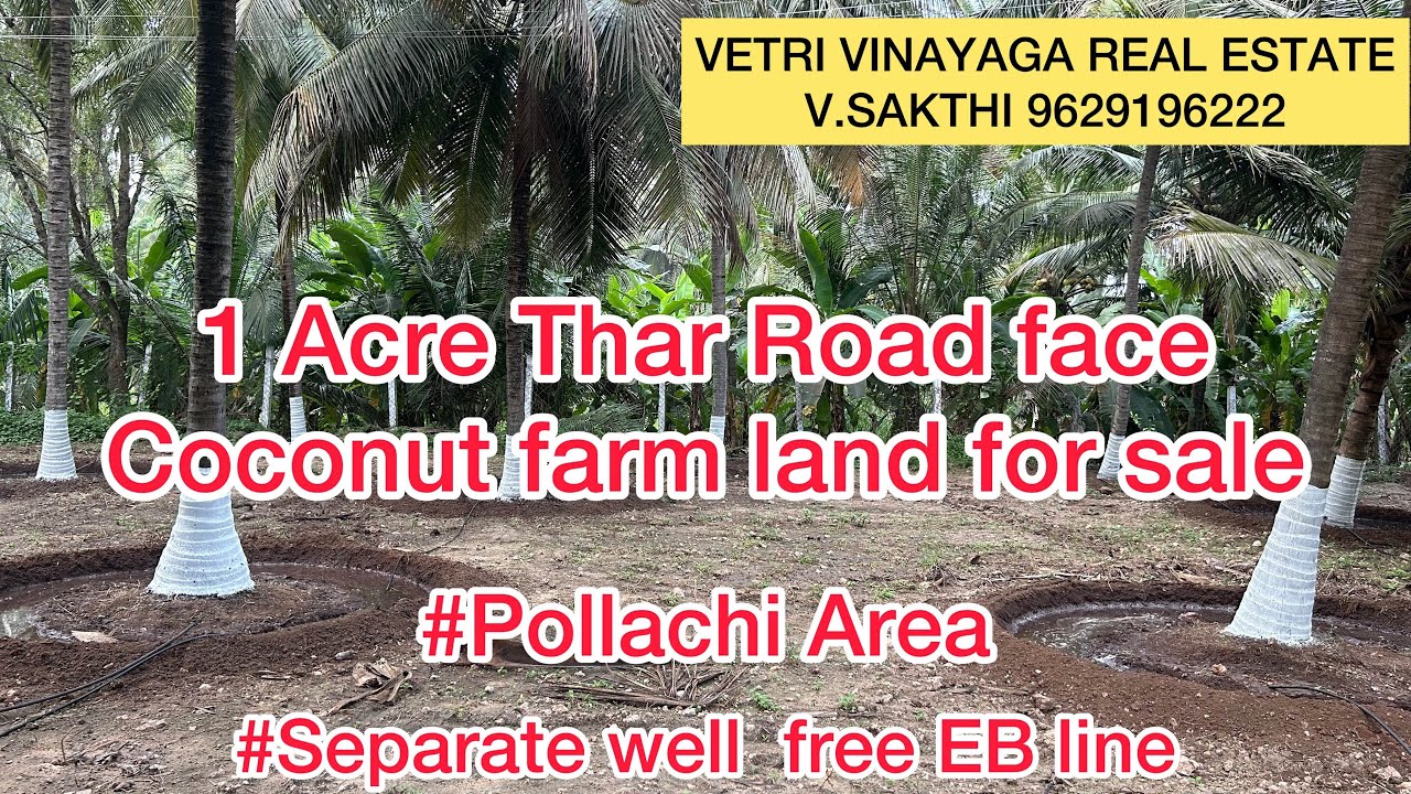 [45] 1 Acre Thar Road face Coconut farm Land for sale Pollachi Area