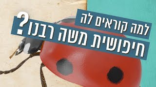 כאן עברית | למה לחיפושית הזו קוראים פרת משה רבנו?