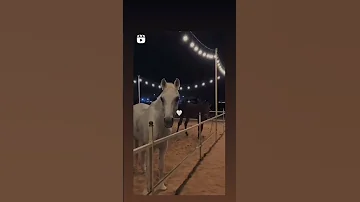 سلام العشق وأعماله 