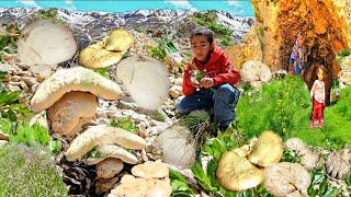Nomadic Cave Life of a Single Mother With 4 Children |Gathering Mountain Herbs & Mushrooms in Zagros