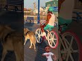 Now this is Real Motion