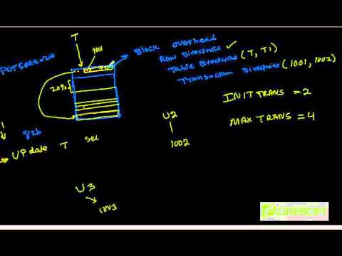 SCPT 48: Oracle Storage Parameters: INITTRANS and MAXTRANS