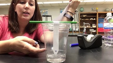 Chromatography Lab (& Time lapse!)