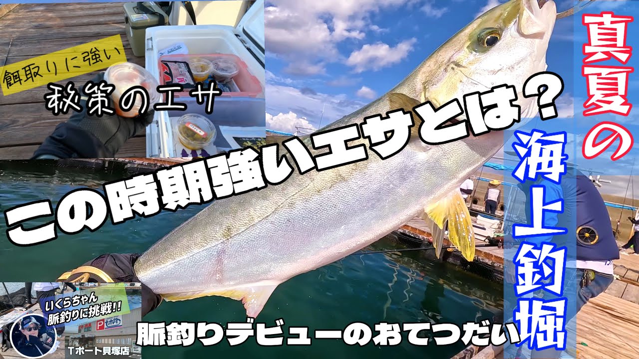 真夏の海上釣堀‪【岬】#海上釣堀 #fishing #釣りガール #餌取り対策