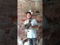 বিড়ালের মতো দেখতে মুরগি #cat #hen #shorts
