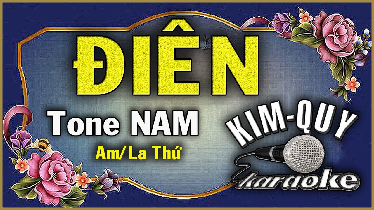 ĐIÊN ( Y Vũ ) - KARAOKE - Tone NAM ( Am/La Thứ )