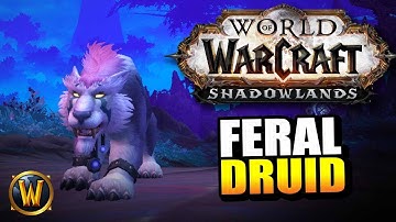 Feral Druid on the Shadowlands Beta // World of Warcraft