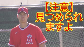 大谷翔平選手を探せ!Where is Shohei Ohtani ? 2020 Spring Training Tempe Diablo Stadium