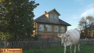 Жилая деревня на краю Костромской области. Неспешная жизнь в российской глубинке.