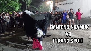Download Lagu Bantengan Ngamuk Vs Tukang Sruit Ki Ageng Macan Putih Live Temboro Trowulan Mojokerto MP3