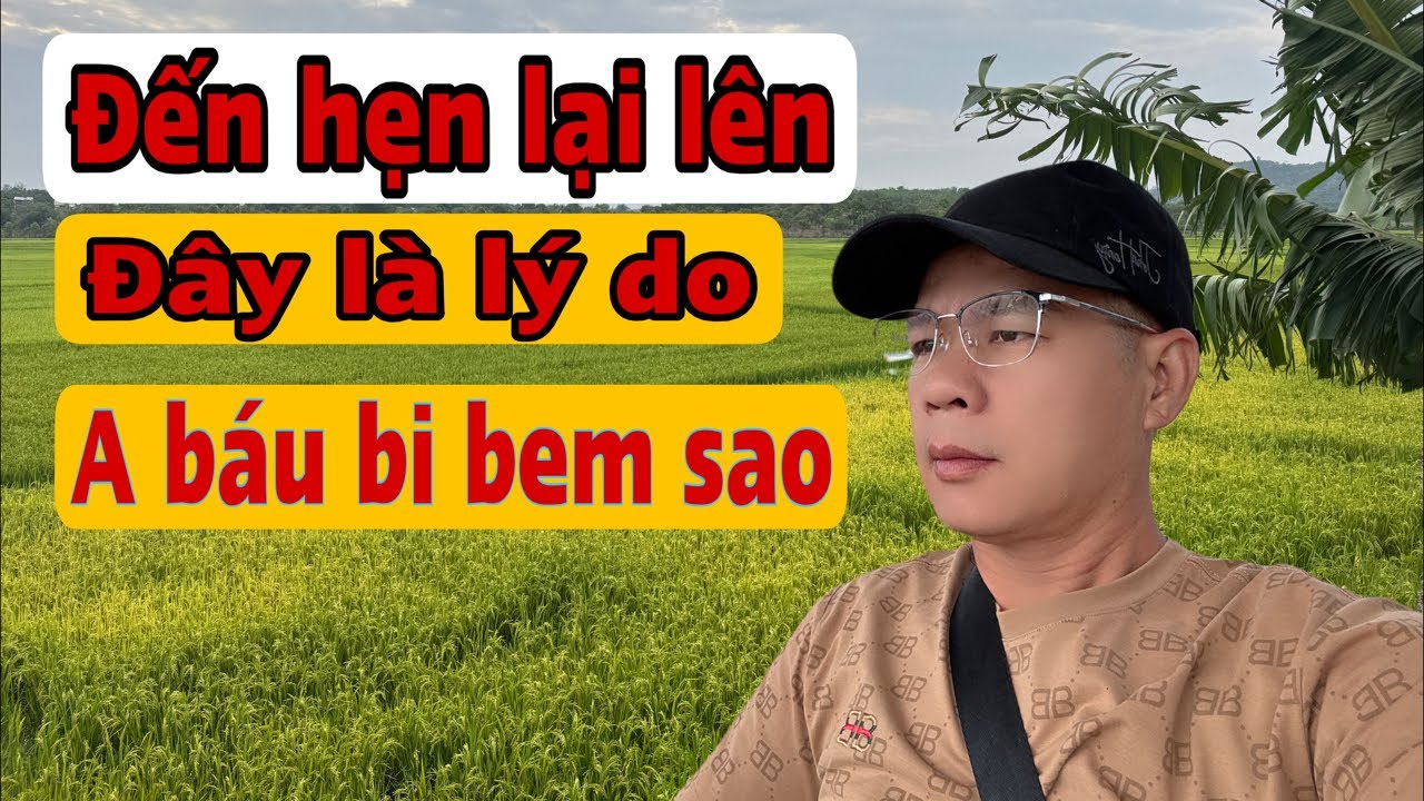 Góc nhìn 👀 vi sao anh Báu liên tục bị Bem .