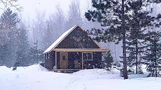 Spring Snowstorm Hits Our Off Grid Cabin: Raising Baby Chicks, Starting Seeds, Maple Trees