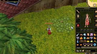 Flyff Bug Saincity