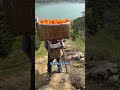 How Drones Are Transforming Orange Farming on Steep Hills
