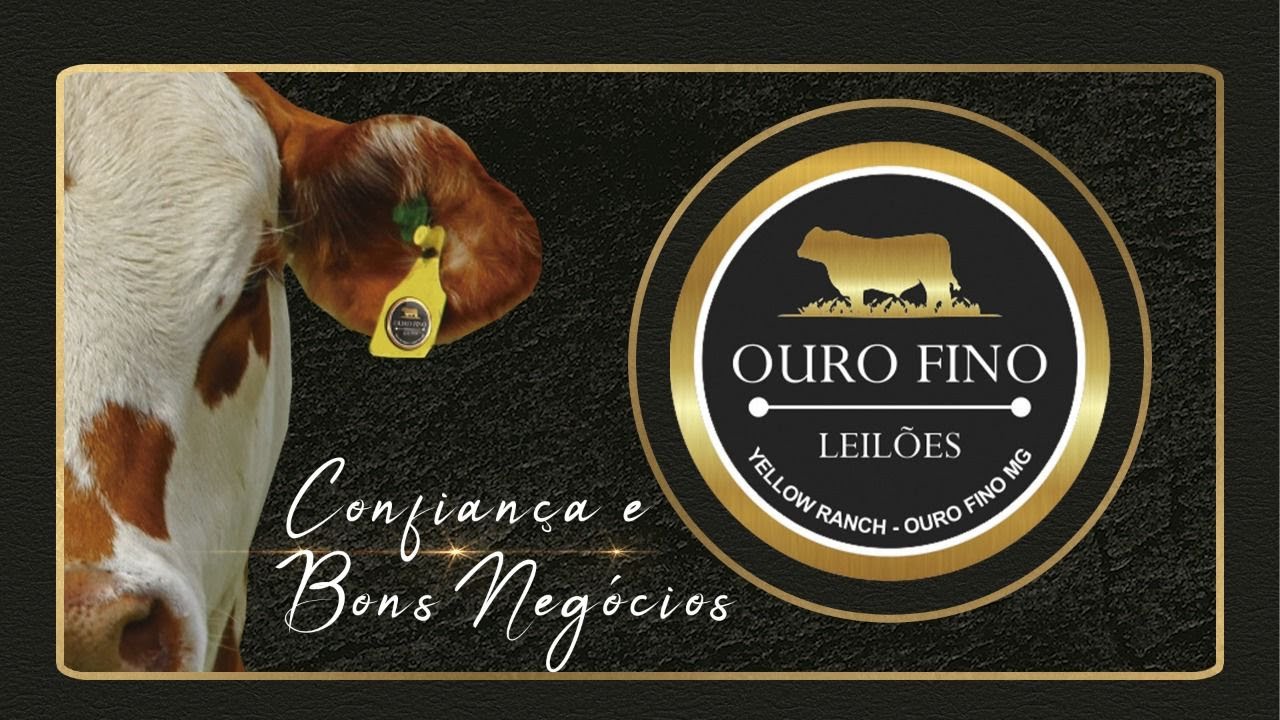 Ouro Fino Leilões