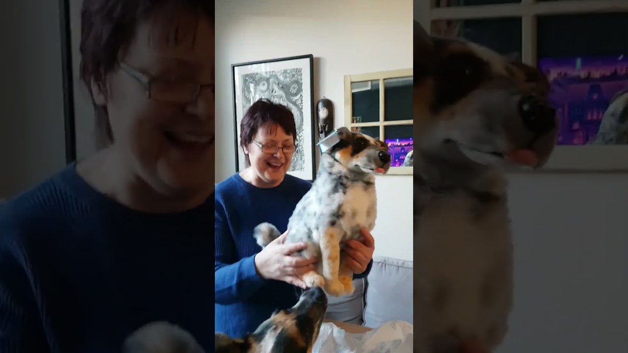 A Love That Never Grows Old | MyPetsies©