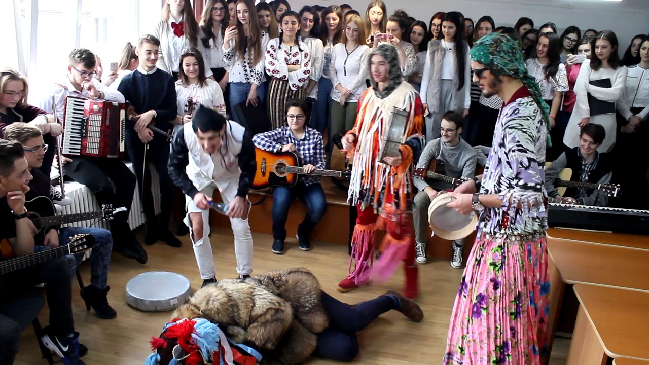 Jocul ursului - CNGA