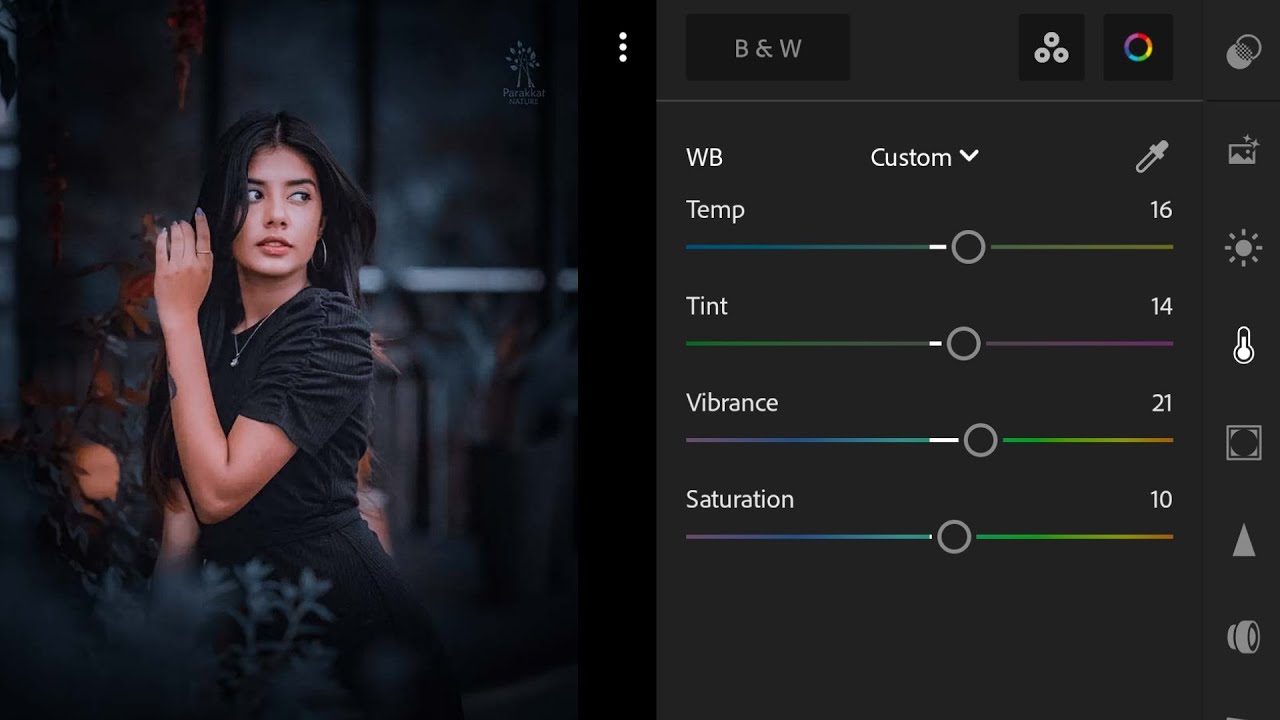 Dark navy blue tone Lightroom photo editing//preset download free//