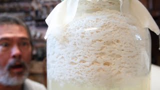 Quest for Homemade Organic Hydroponic Fertilizer