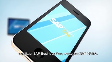 [Czeh] Dashboard analysis with SAP Business One powered by SAP HANA