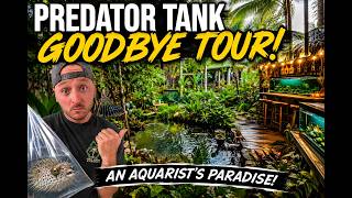 I Shut Down My Predator Tank... Then Found an Aquarist's Paradise