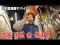 말도 안되는 일본 물가‼️도쿄 짠내 투어‼️"아카바네" 가성비 이자카야,호텔 리뷰