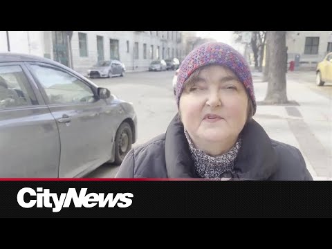 Winnipeg Transit Review