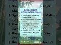 Cẩm nang chăm sóc sức khoẻ 24/7 giúp bạn phòng ngừa bệnh tật hiệu quả ngay tại nhà mình