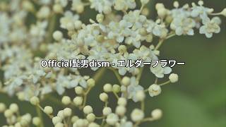 dism   elder Flower romaji Senglish Subtitle
