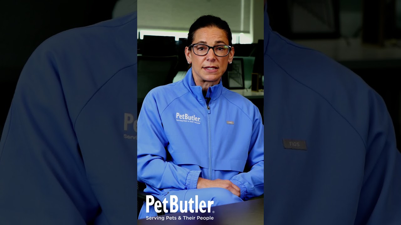 Prevention of Cruelty to Animals Month 💙 | How You Can Help