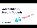 Adventitious Breath Sounds: Stridor, Wheezes / Rhonchi, Crackles / Rales and Pleural Rub | Ausmed