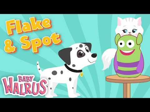 Mes amis les animaux - Flake et Spot jouent à cache-cache | Série pour les bébés de 0 à 2 ans 🐈 🐶