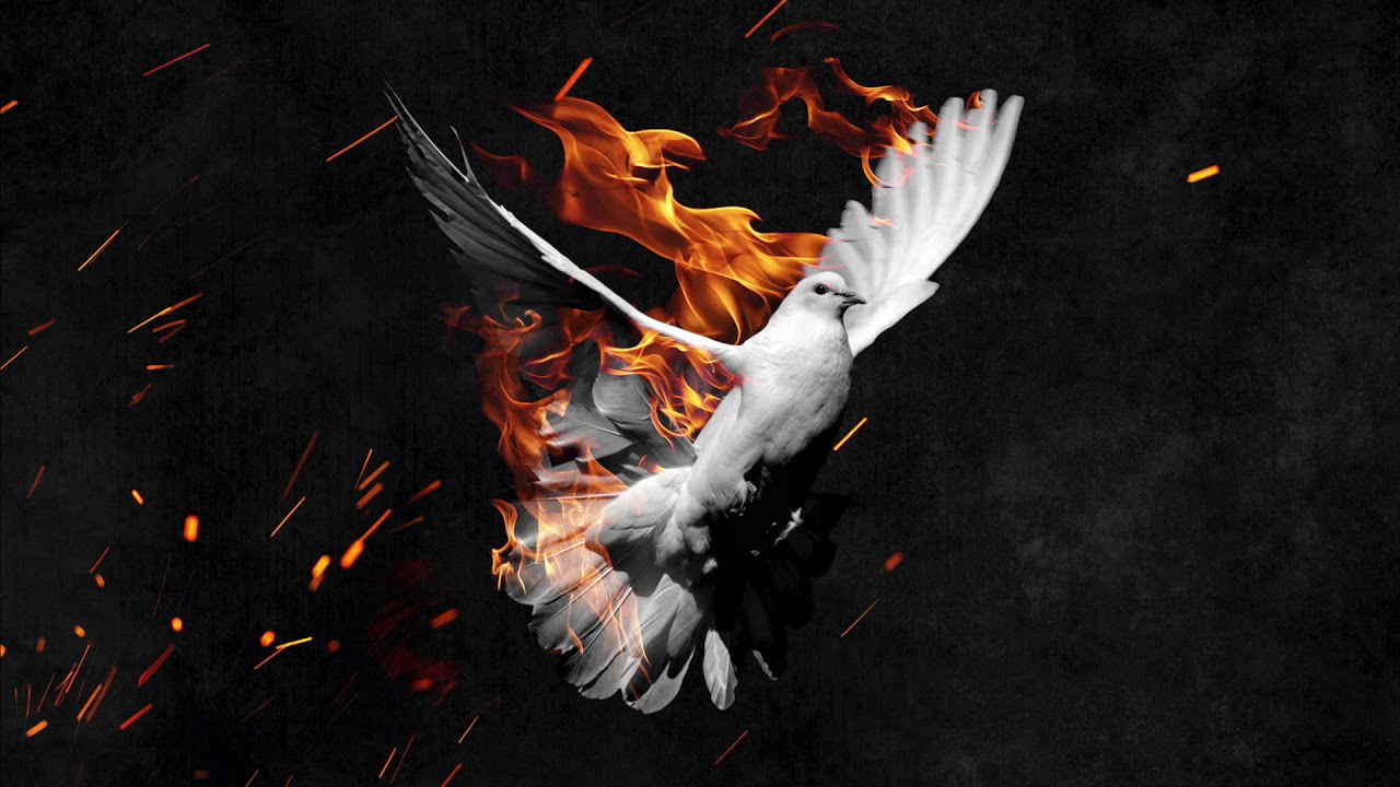 FREEDOM - BRANNCO & LEDUR (Bootleg)